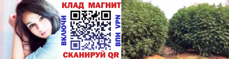 Купить наркотики цена Чишмы KRAKEN вход  Cocaine  Альфа ПВП  Меф мяу мяу  МАРИХУАНА 