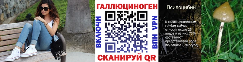 Галлюциногенные грибы Psilocybine cubensis  Чишмы 
